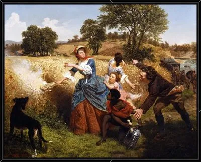 Сжигание поля