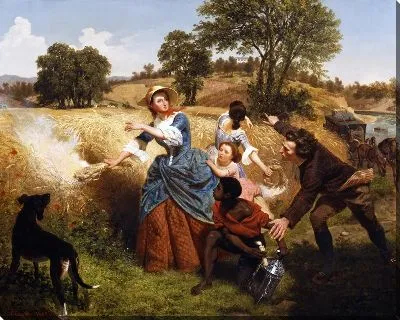 Сжигание поля