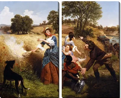 Сжигание поля