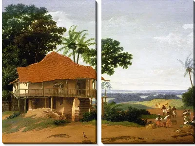 Картина Бразильский пейзаж