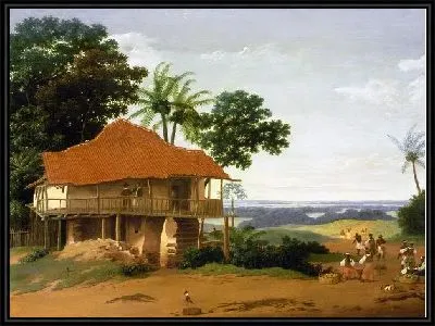 Бразильский пейзаж