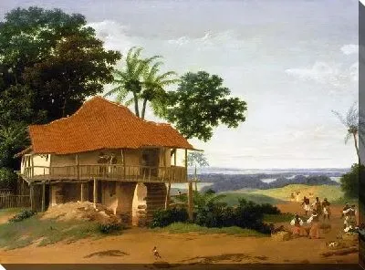 Картина Бразильский пейзаж