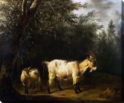 Коза с козленком