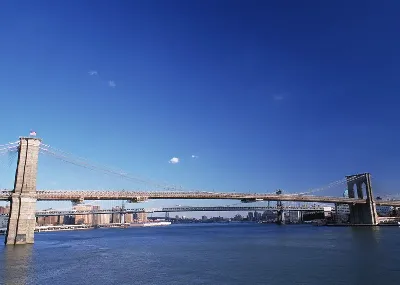 шаблон id 38