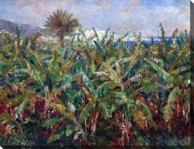 Картина маслом Поле банановых деревьев