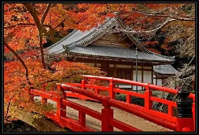 Картина Мост в Японии №2