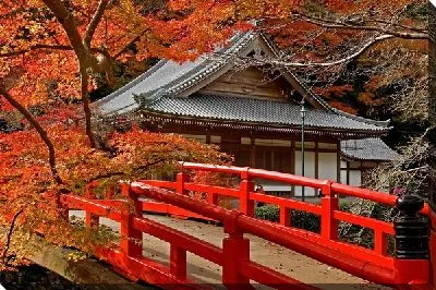 Постер Мост в Японии №2