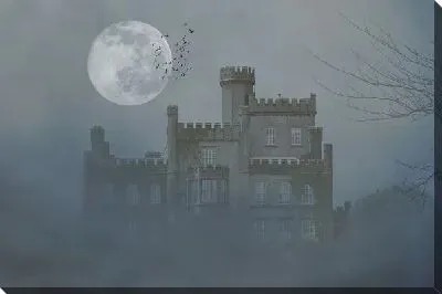 Постер Замок в лунную ночь