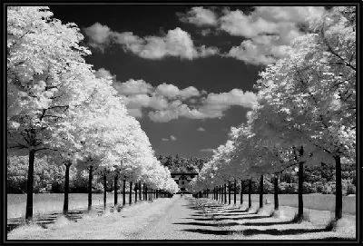 Аллея (Alley) №7