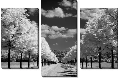 Аллея (Alley) №7