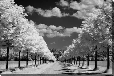 Аллея (Alley) №7