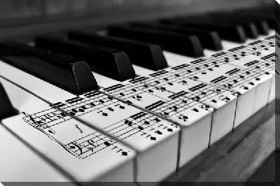 Постер Пианино (Piano) №9