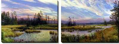 Модульная картина Болото в лесу (Swamp in the woods)