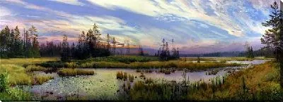 Постер Болото в лесу (Swamp in the woods)