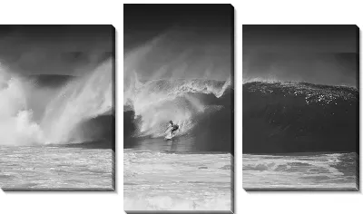 Модульная картина Серфинг (Surfing) №3