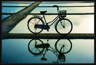 Картина Велосипед (Bicycle) №3