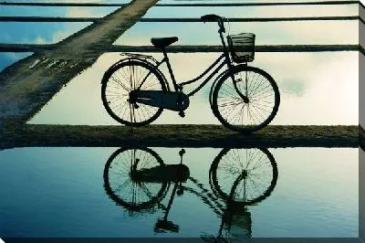 Постер Велосипед (Bicycle) №3