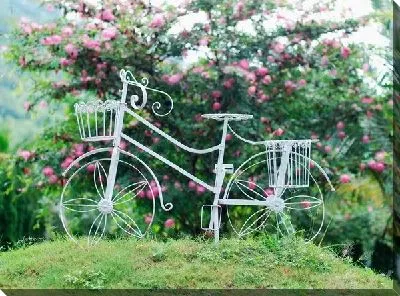 Постер Кованный велосипед (Forged bike)