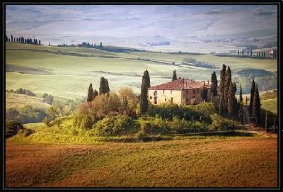 Картина Французский прованс (French Provence) №2