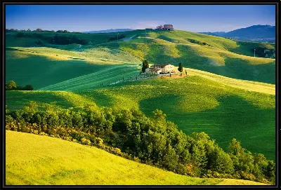 картина