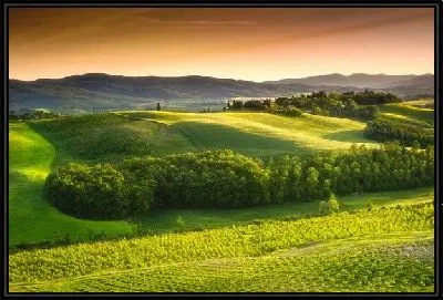 Картина Французский прованс (French Provence) №4