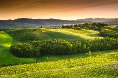 Плакат Французский прованс (French Provence) №4