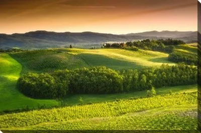 Постер Французский прованс (French Provence) №4