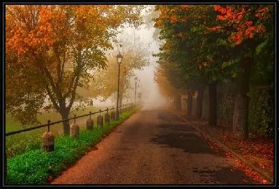 Картина Осенняя аллея (Autumn alley)