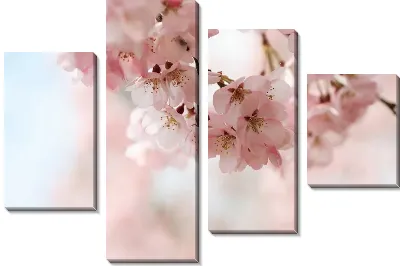 Модульная картина Сакура (Sakura) №9
