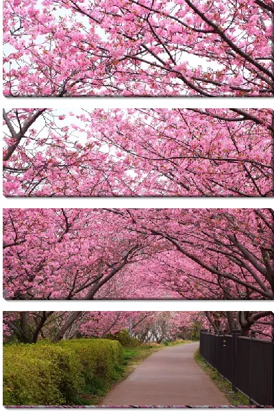 Модульная картина Аллея сакуры (Cherry alley) №2