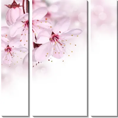 Модульная картина Сакура (Sakura) №14