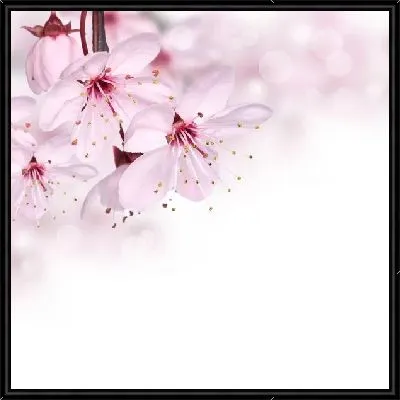 Картина Сакура (Sakura) №14