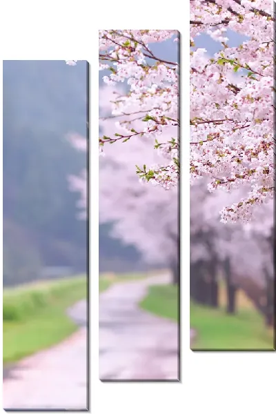Модульная картина Аллея сакуры (Cherry alley) №3