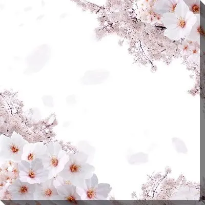 Постер Сакура (Sakura) №16