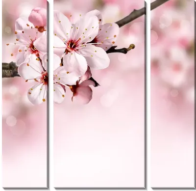 Модульная картина Сакура (Sakura) №19