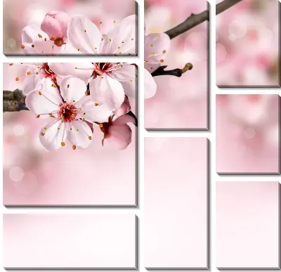 Модульная картина Сакура (Sakura) №19