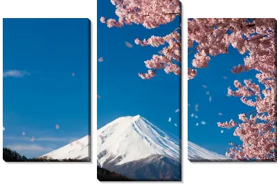 Модульная картина Цветение сакуры в горах (Cherry blossoms in the mountains)