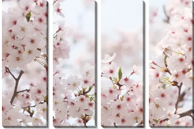 Модульная картина Сакура (Sakura) №20