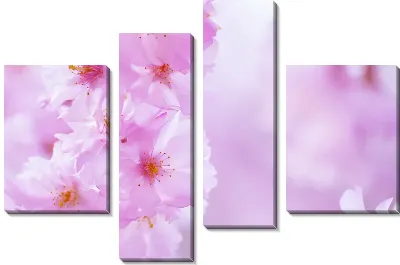 Модульная картина Сакура (Sakura) №21
