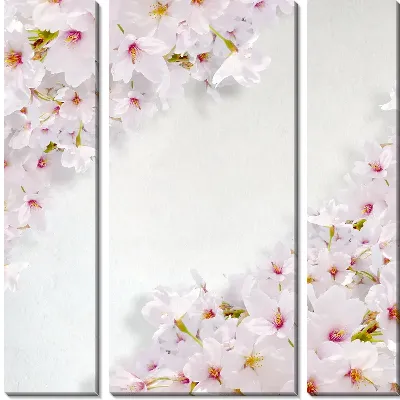 Модульная картина Сакура (Sakura) №23