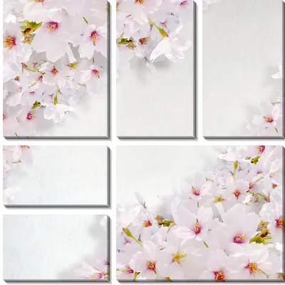 Модульная картина Сакура (Sakura) №23