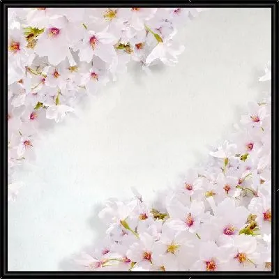 Картина Сакура (Sakura) №23