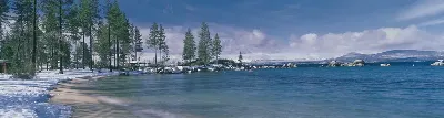 шаблон id 43