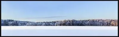 Картина Зимняя панорама