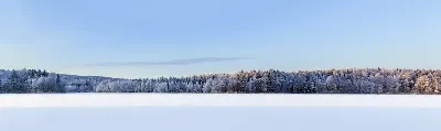 шаблон id 43