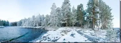 Постер Зимняя панорама №4