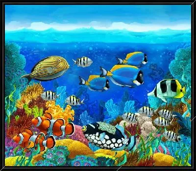 Подводный мир №9