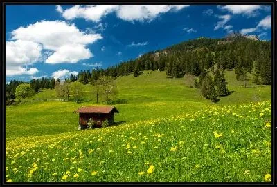 Картина Лесная поляна в горах
