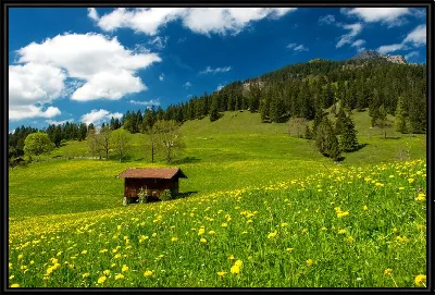 картина