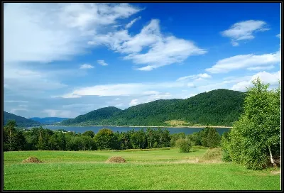 картина